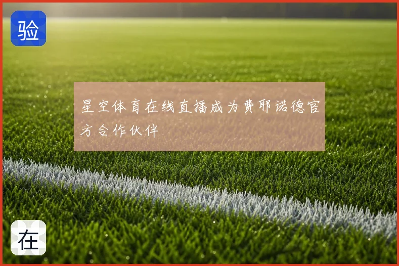 星空体育在线直播成为费耶诺德官方合作伙伴