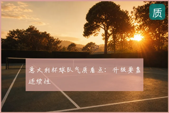 意大利杯球队气质看点:升级要靠连续性